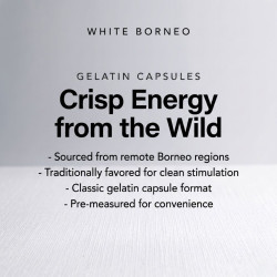 White Borneo Kratom Gelatin Capsules
