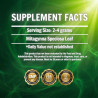 Super Green Kratom Powder
